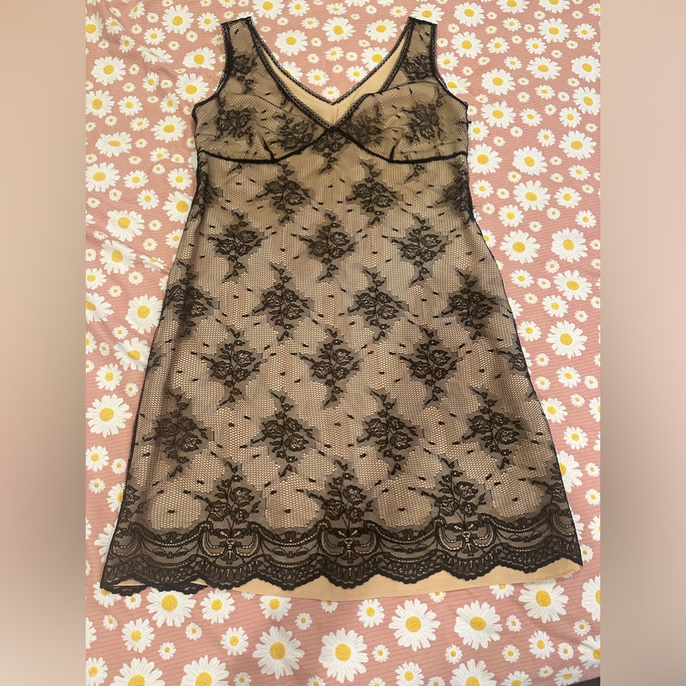 Vintage lace dress with nude lining